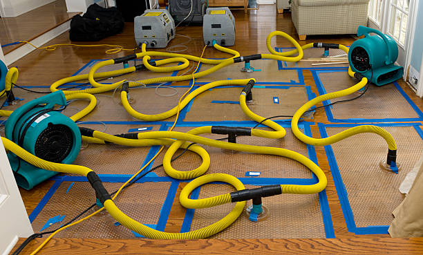 Professional Basement Flood Cleanup technician working in Irwin, OH